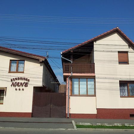 Pensiunea Nane Hermannstadt Exterior foto